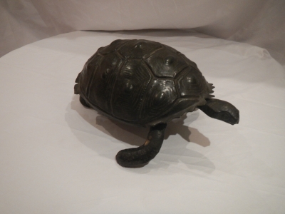 Tortue